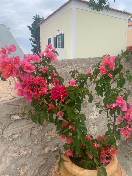 Villa 1853, Spetses Ground Floor Exterior foto